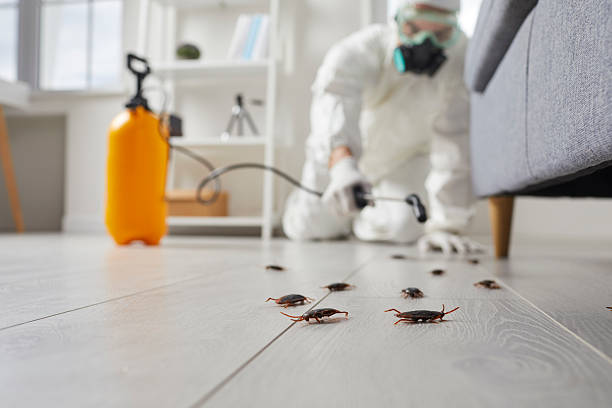Trusted Emergency Pest Control service in Thoreau, NM - Nex Pest Control